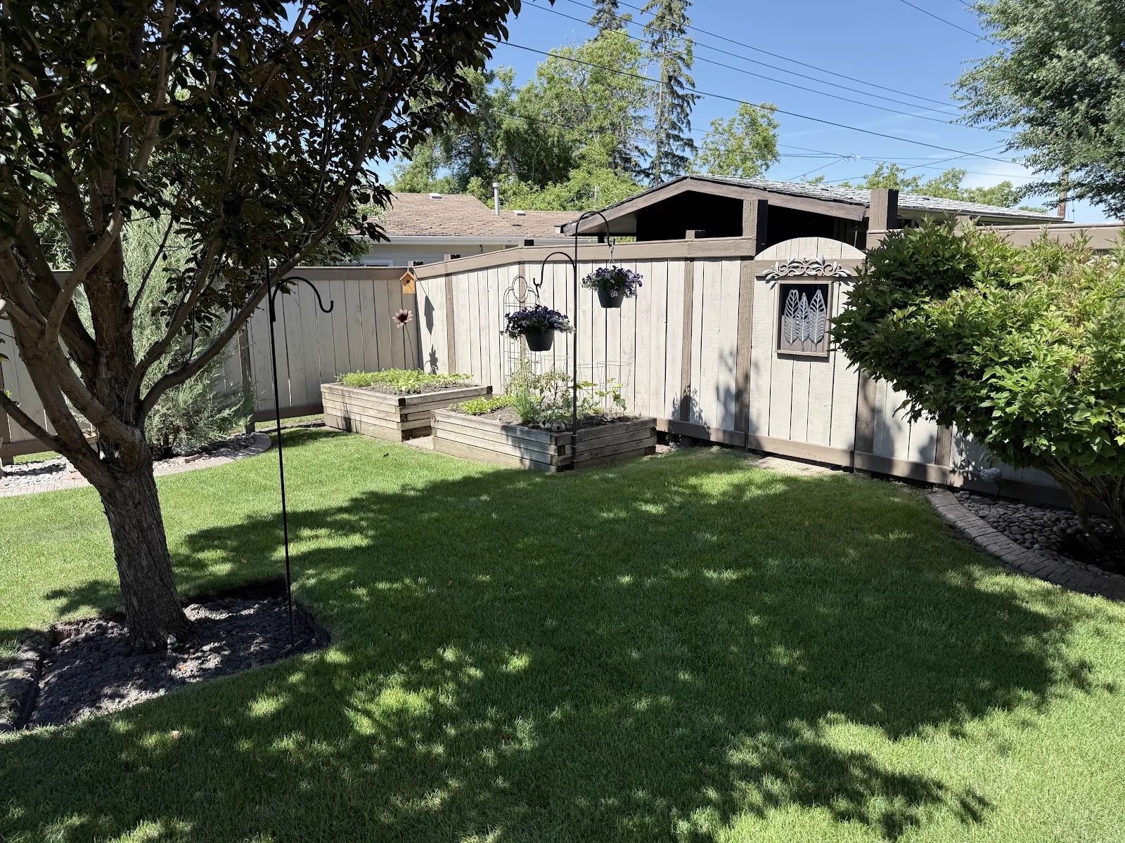 Painted backyard privacy fence and matching gate framing a landscaped yard